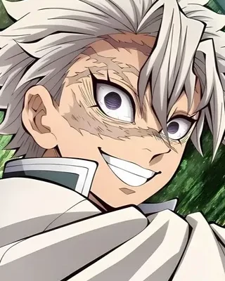 Sanemi Shinazugawa